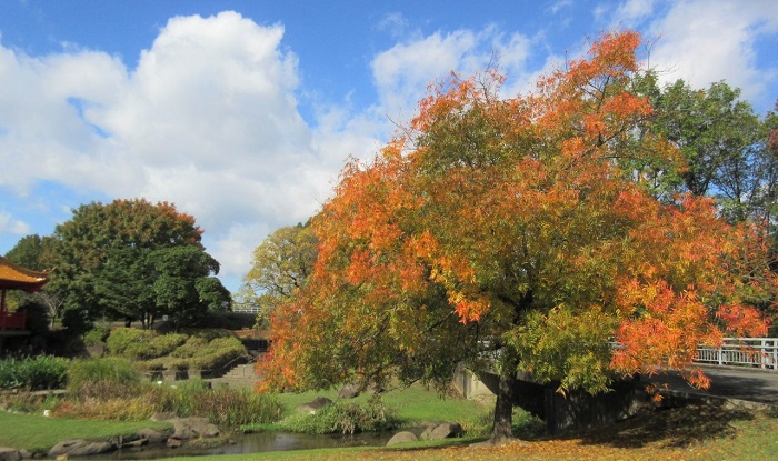 f:id:masami71:20211110145003j:plain