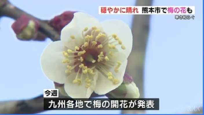f:id:masami71:20220126201413j:plain