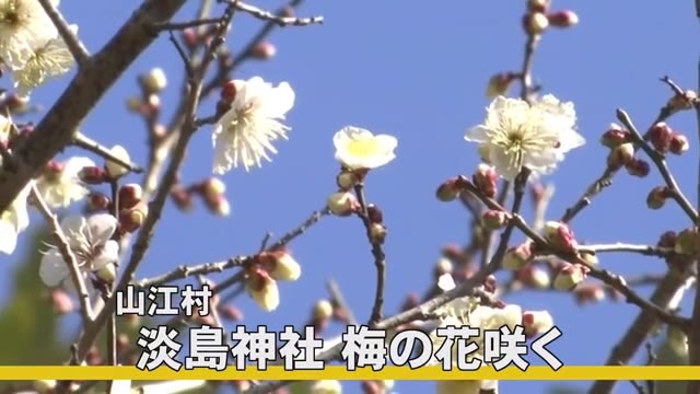 f:id:masami71:20220131202643j:plain