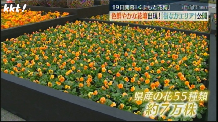 f:id:masami71:20220314214338j:plain