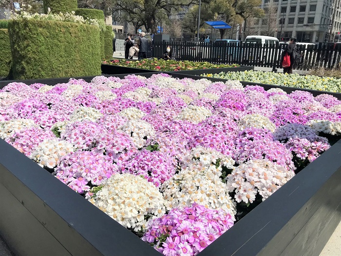 f:id:masami71:20220327220351j:plain