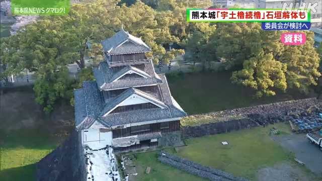 熊本城宇土櫓続櫓下の石垣 “大規模解体し修復”を含め検討へ - masami71の日記