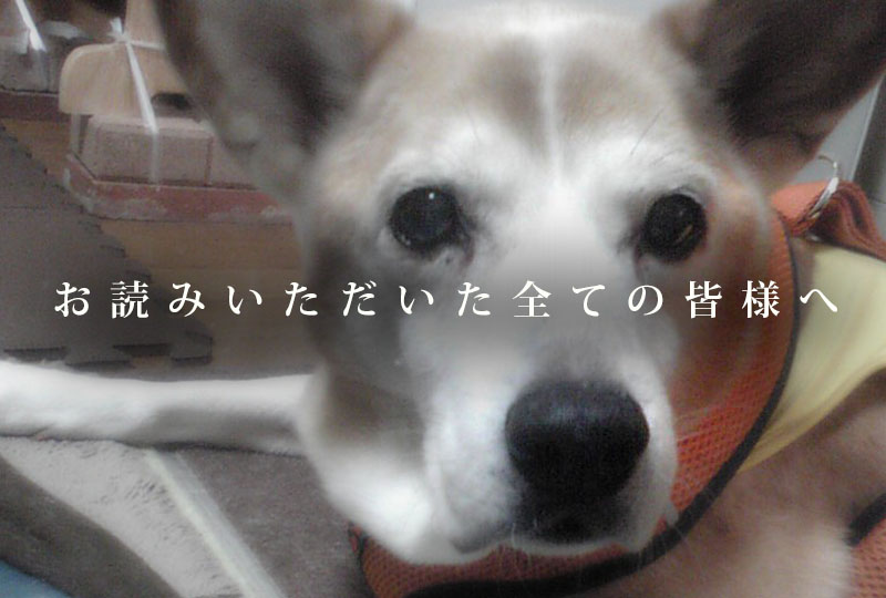 f:id:masami_takasu:20071103133328j:plain f:id:masami_takasu:20071103133328j:plain