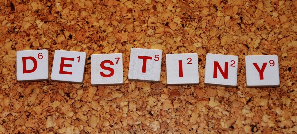 f:id:masami_takasu:20171024180933j:plain