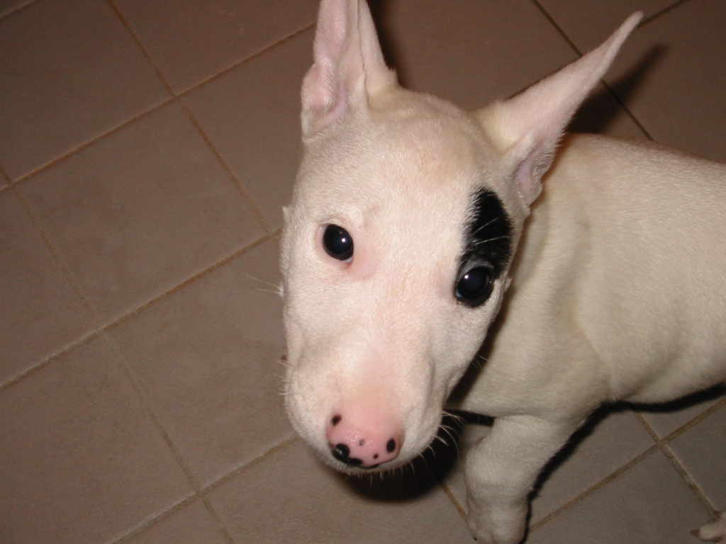 f:id:masami_takasu:20171024181011j:plain