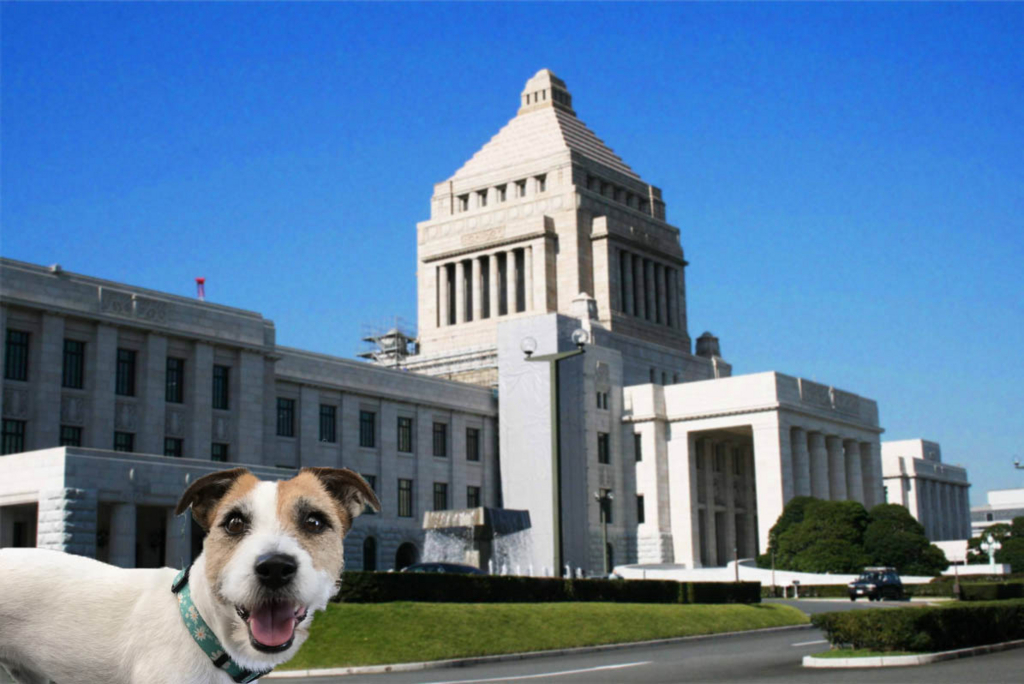 f:id:masami_takasu:20171101103846j:plain