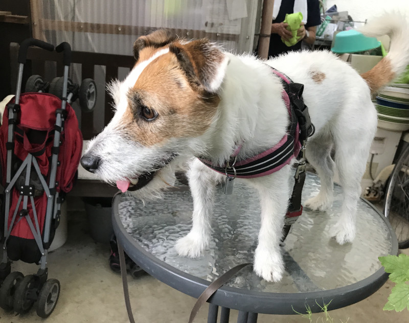 f:id:masami_takasu:20171101103928j:plain