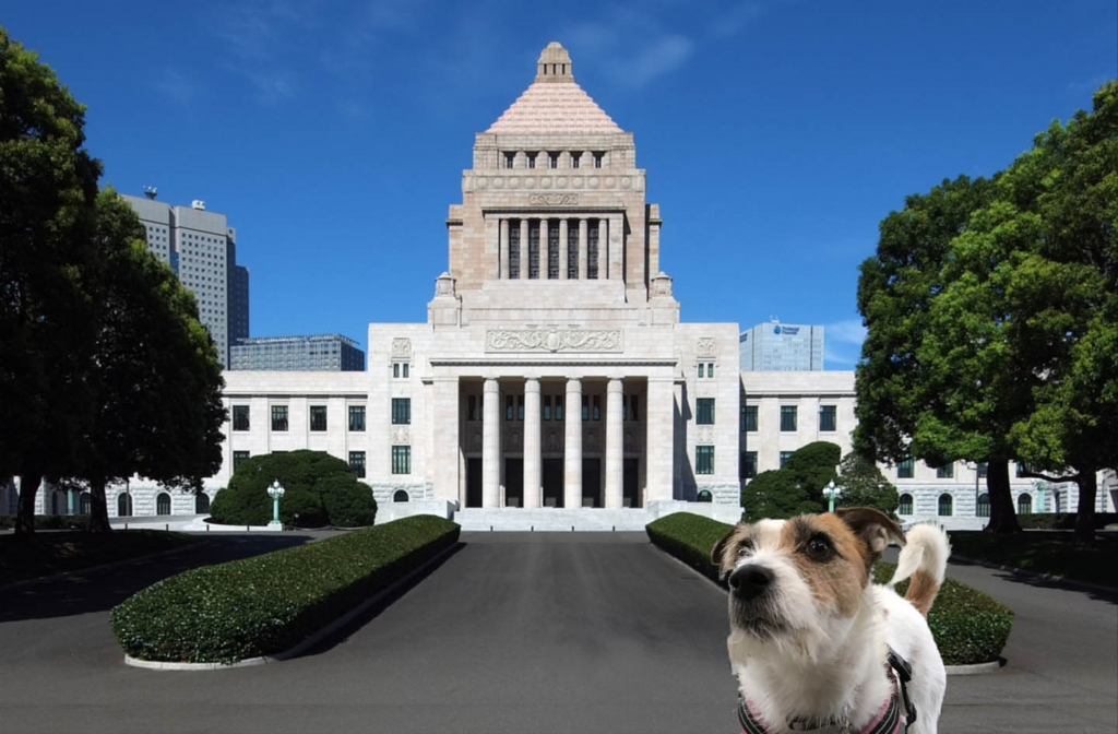 f:id:masami_takasu:20171101104022j:plain