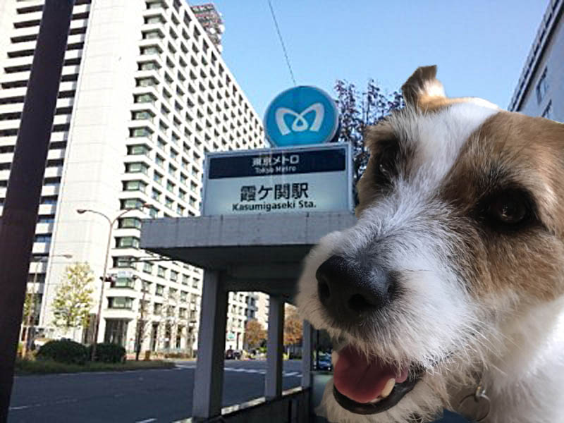 f:id:masami_takasu:20171101104353j:plain