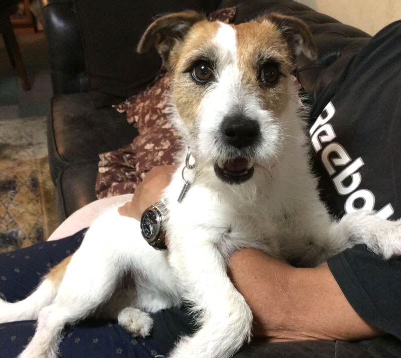 f:id:masami_takasu:20171101104406j:plain