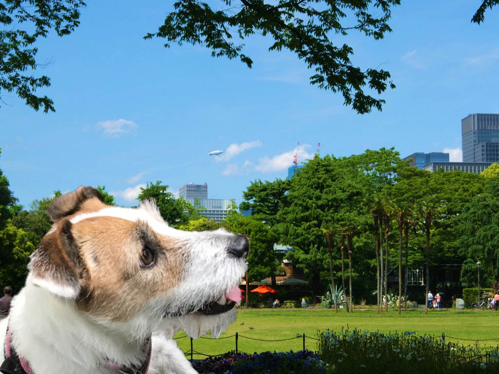 f:id:masami_takasu:20171101104417j:plain