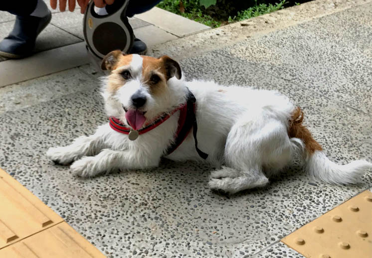 f:id:masami_takasu:20171101104427j:plain