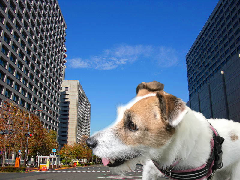 f:id:masami_takasu:20171101104447j:plain