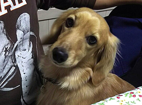 f:id:masami_takasu:20171101113213j:plain