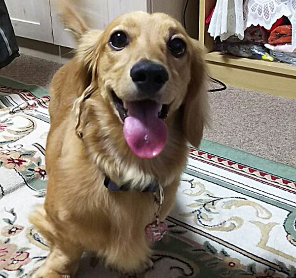 f:id:masami_takasu:20171101113228j:plain