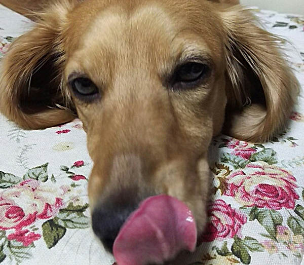 f:id:masami_takasu:20171101113244j:plain