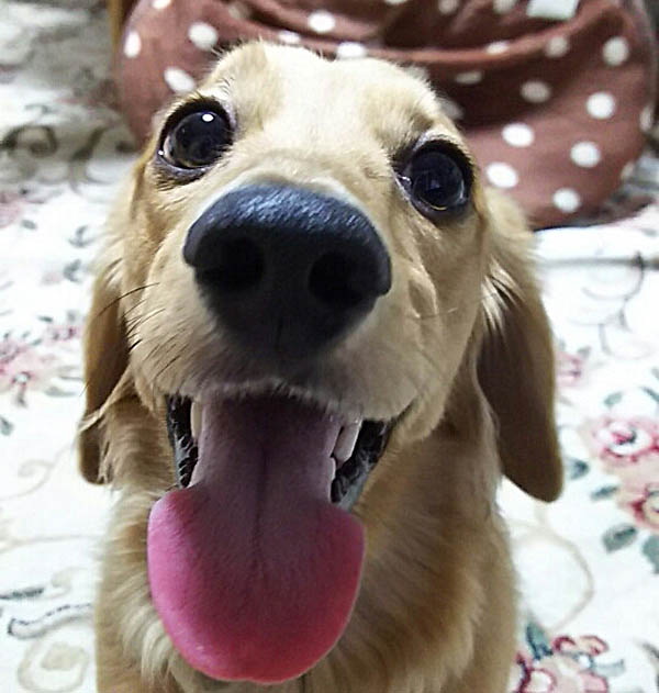 f:id:masami_takasu:20171101113258j:plain