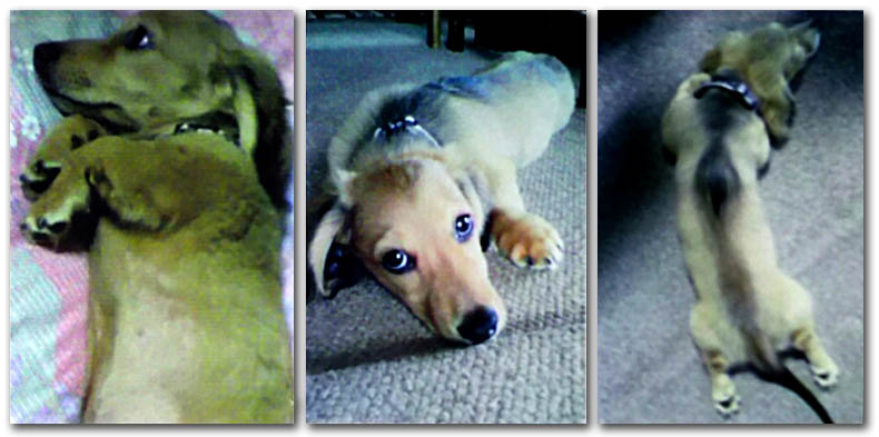 f:id:masami_takasu:20171101113316j:plain