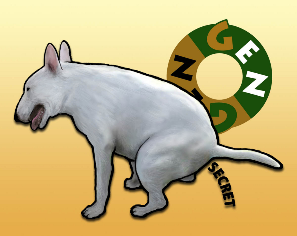 f:id:masami_takasu:20171101145656j:plain