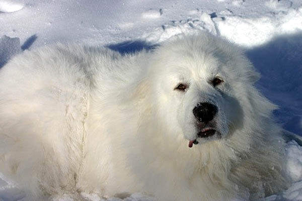 f:id:masami_takasu:20171101154816j:plain