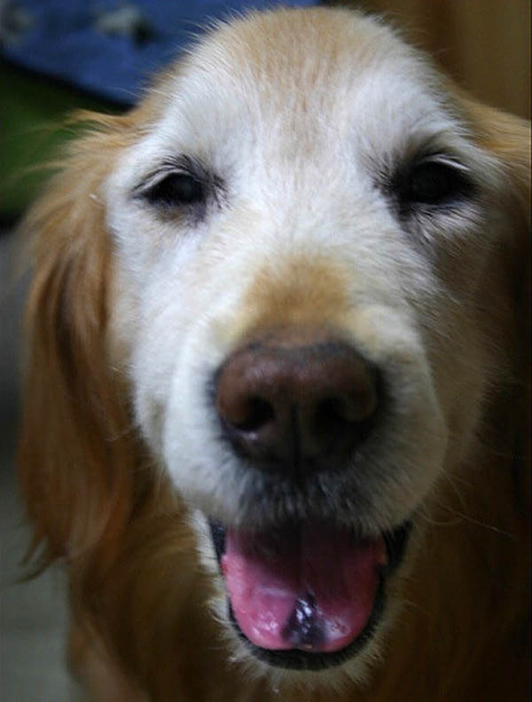 f:id:masami_takasu:20171101154906j:plain