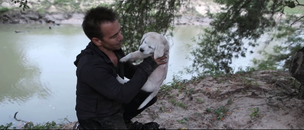 f:id:masami_takasu:20171103121756j:plain