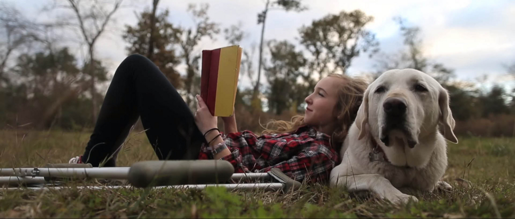 f:id:masami_takasu:20171103121835j:plain