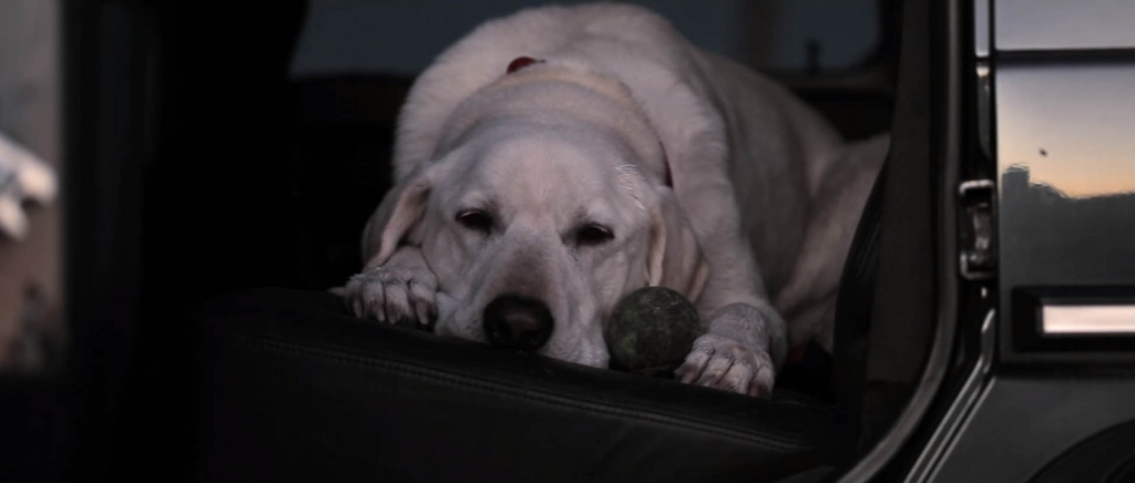 f:id:masami_takasu:20171103121900j:plain