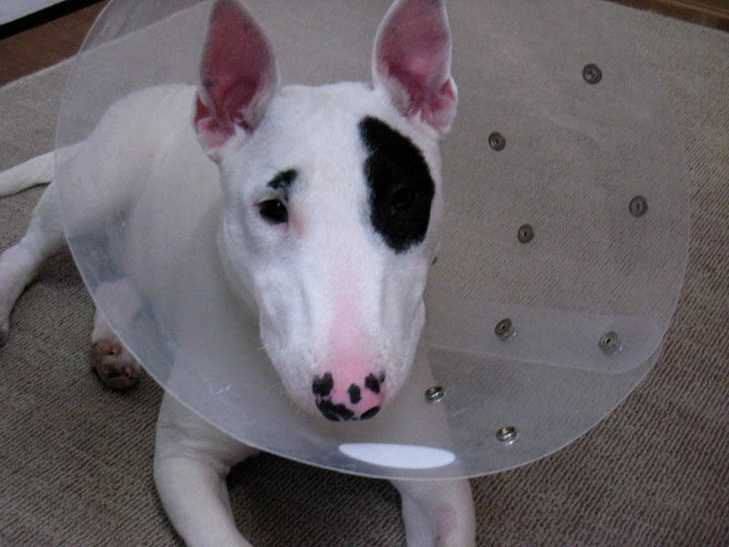 f:id:masami_takasu:20171103133026j:plain