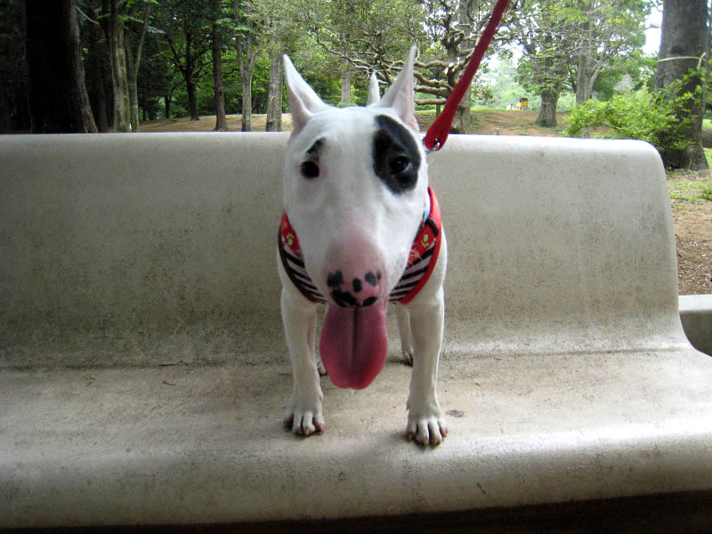 f:id:masami_takasu:20171103133037j:plain