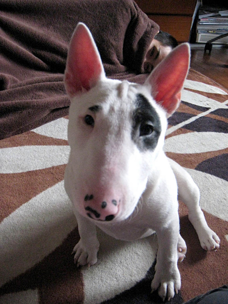 f:id:masami_takasu:20171103133048j:plain