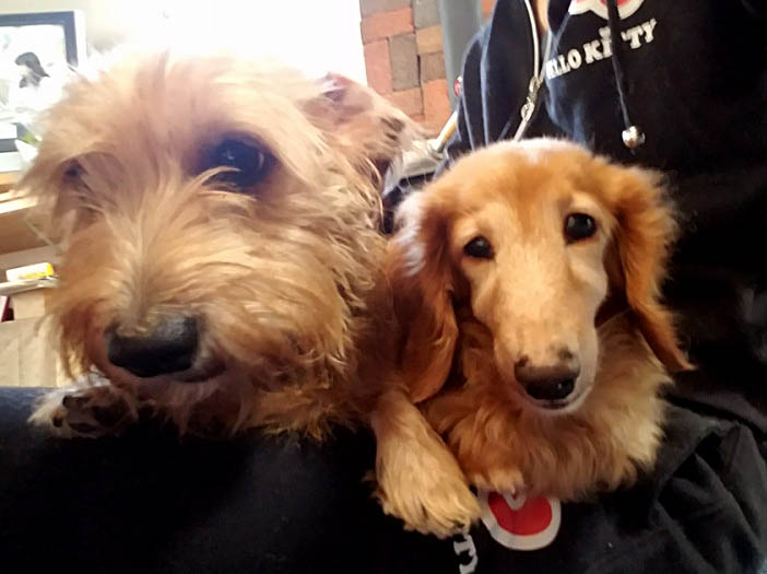 f:id:masami_takasu:20171105153913j:plain