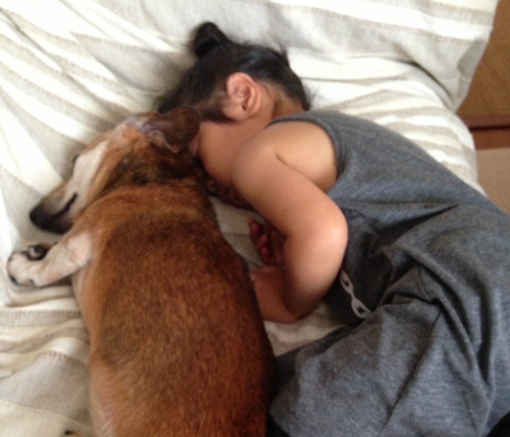 f:id:masami_takasu:20171105165918j:plain