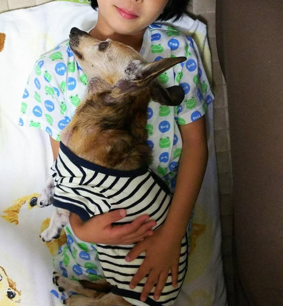 f:id:masami_takasu:20171105165930j:plain