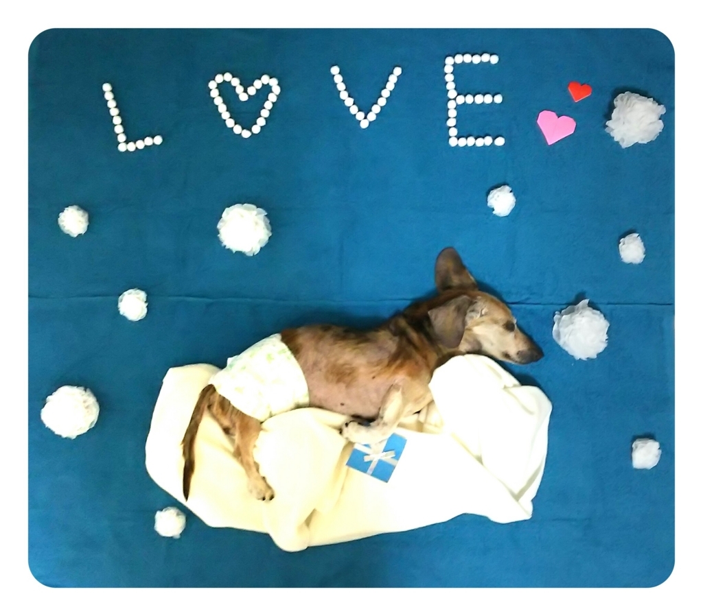 f:id:masami_takasu:20171105171112j:plain