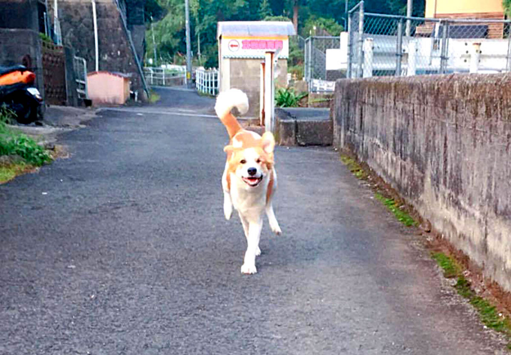 f:id:masami_takasu:20171119142757j:plain