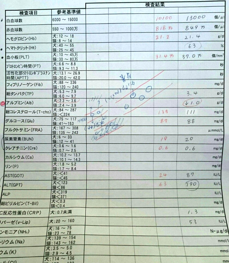 f:id:masami_takasu:20171126065512j:plain