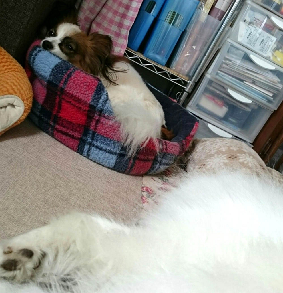 f:id:masami_takasu:20171126093435j:plain