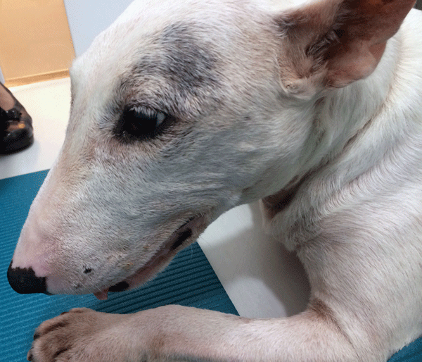 f:id:masami_takasu:20171204033647g:plain