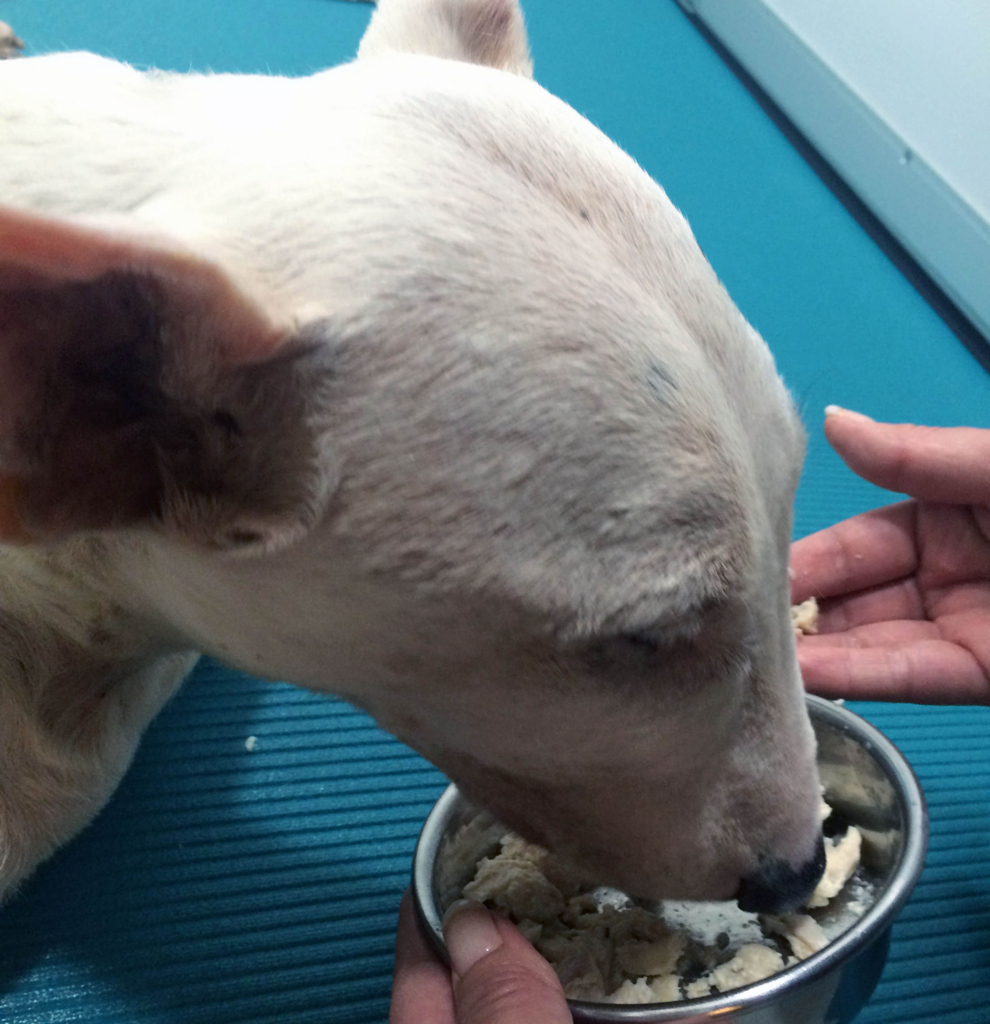 f:id:masami_takasu:20171204033800j:plain