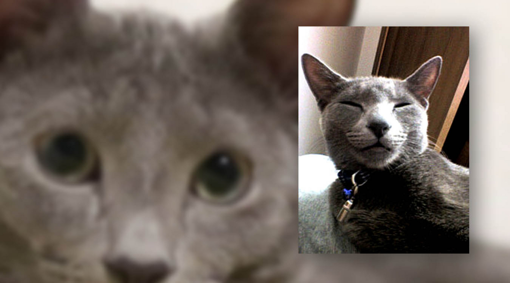 f:id:masami_takasu:20171212123848j:plain f:id:masami_takasu:20171212123848j:plain