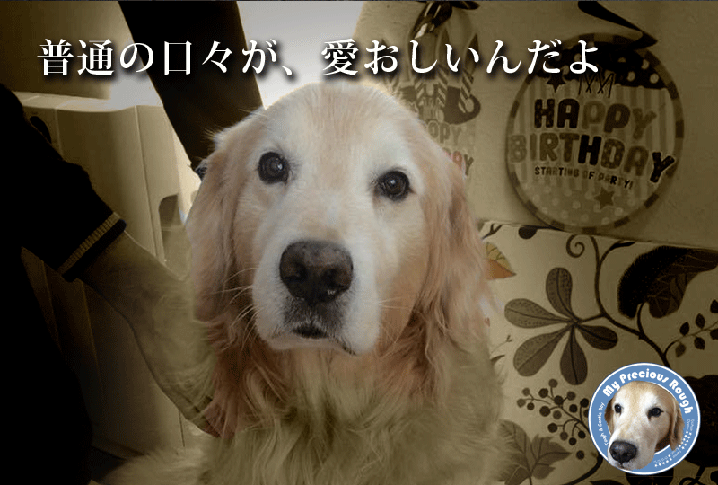 f:id:masami_takasu:20171213172344g:plain