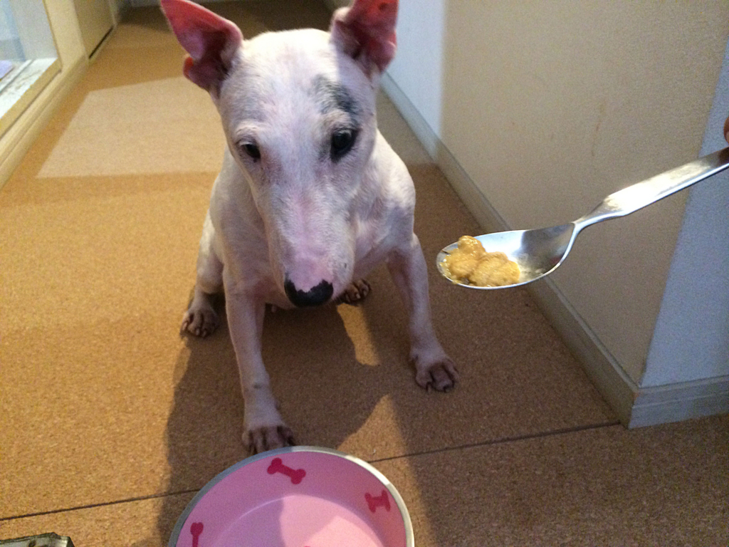 f:id:masami_takasu:20171221183534j:plain