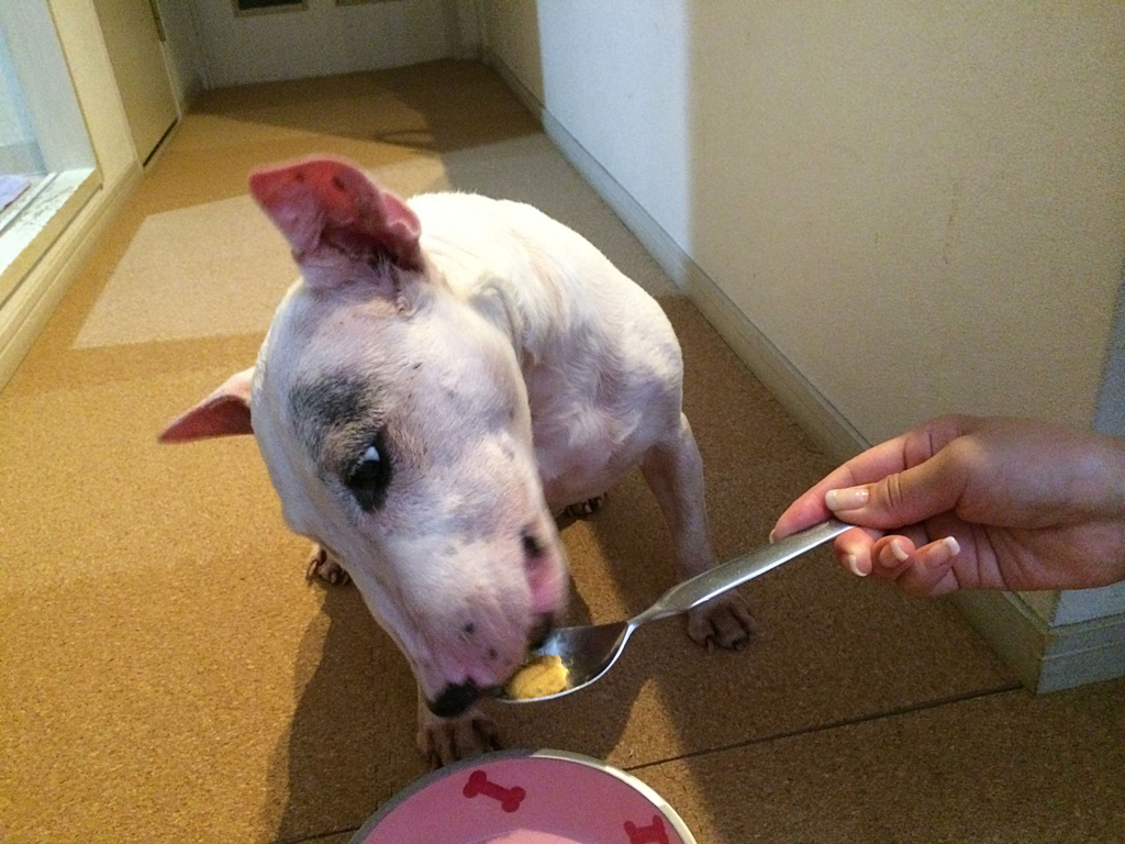 f:id:masami_takasu:20171221183638j:plain