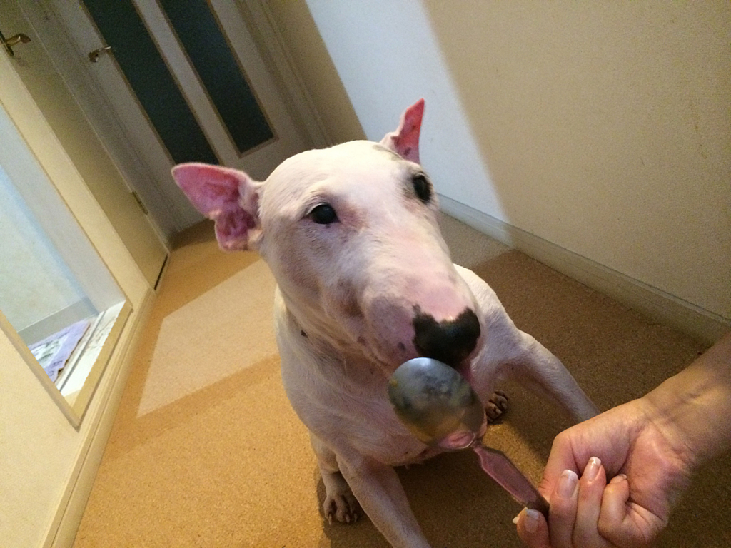 f:id:masami_takasu:20171221183738j:plain