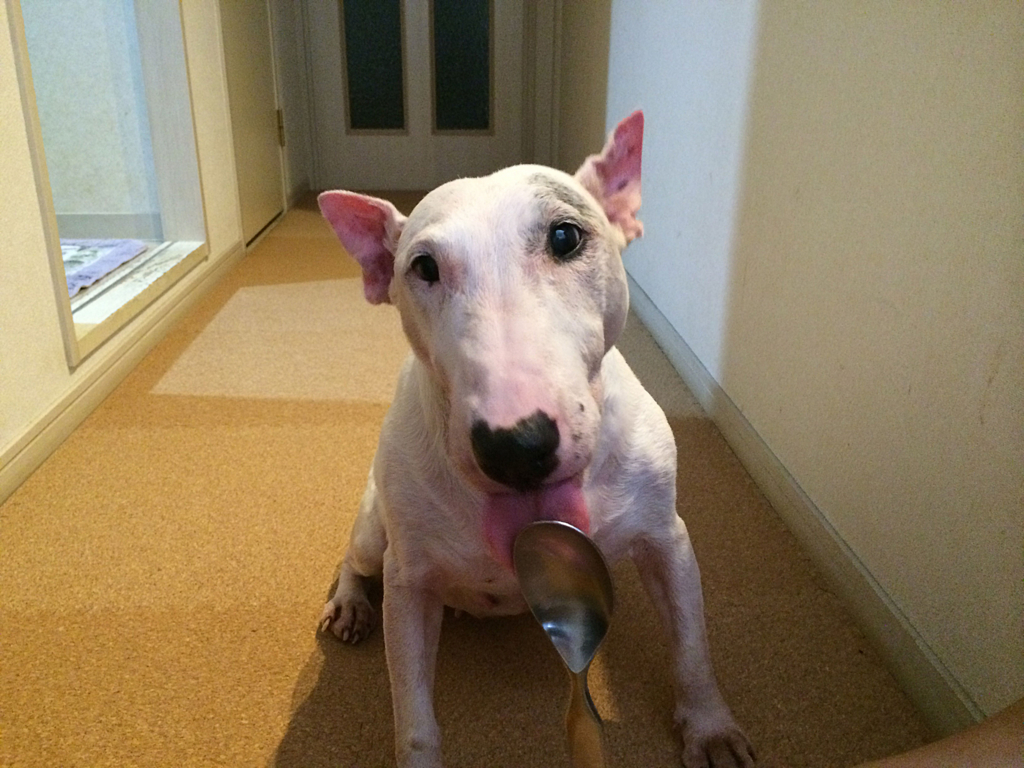 f:id:masami_takasu:20171221183852j:plain