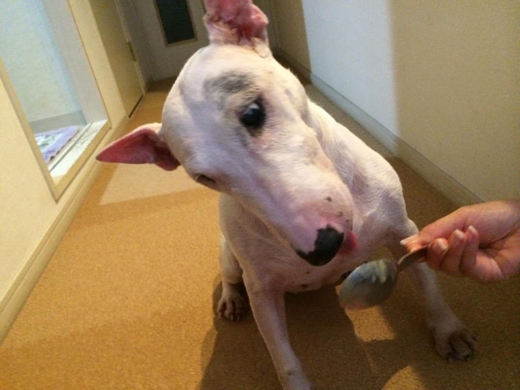 f:id:masami_takasu:20171221184118j:plain