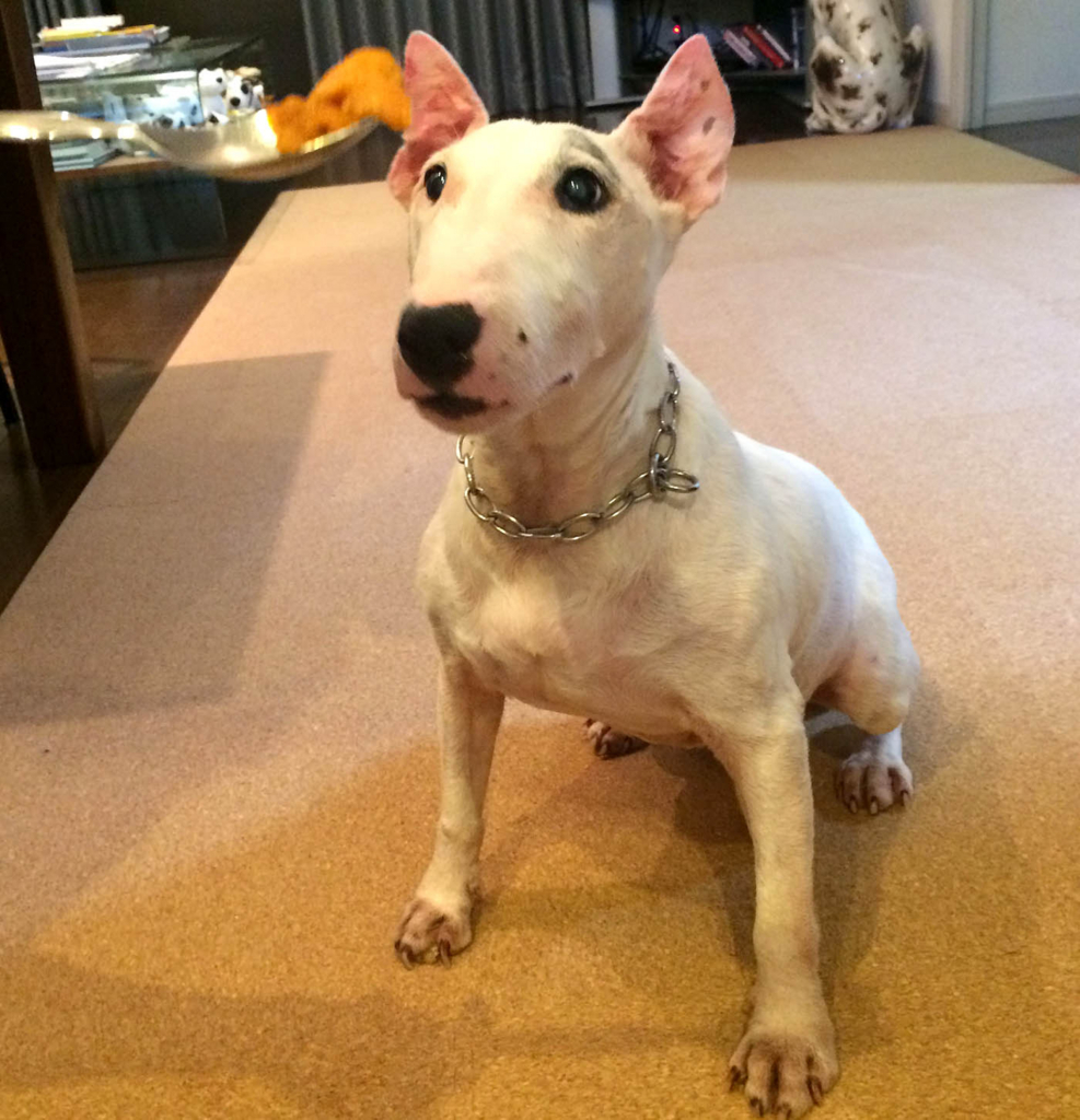 f:id:masami_takasu:20171227140131j:plain