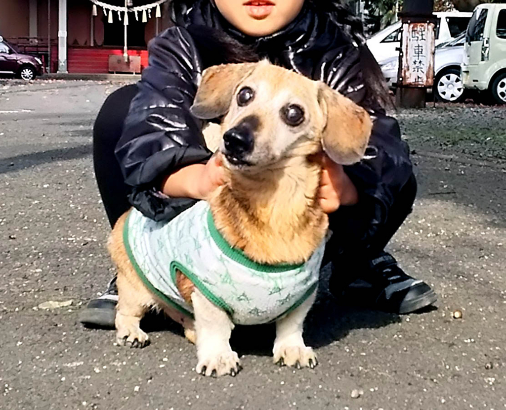 f:id:masami_takasu:20180130180742j:plain f:id:masami_takasu:20180130180742j:plain
