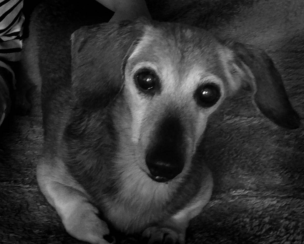 f:id:masami_takasu:20180208103344j:plain